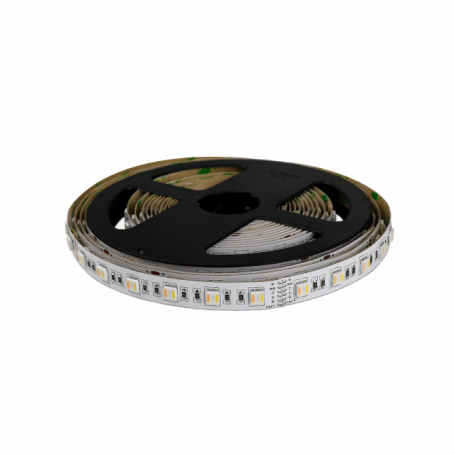 images/productimages/small/5050.60-24v-ip22-rgbcct-3.png