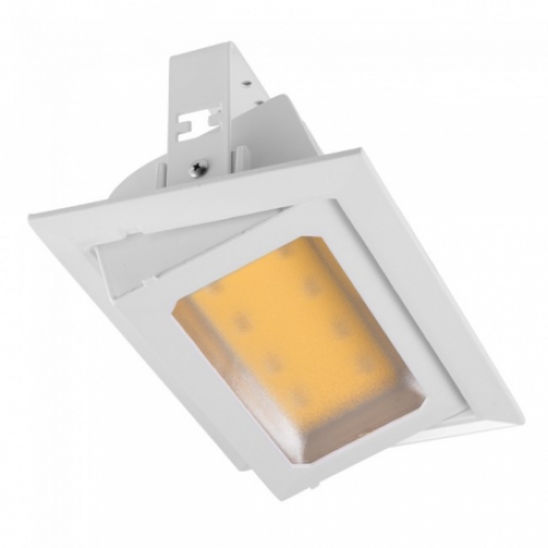 DOWNLIGHT KANTELBAAR 30W