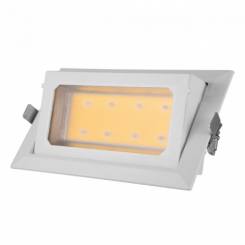 DOWNLIGHT KANTELBAAR 30W